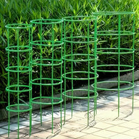 Garden Plant Support Poles