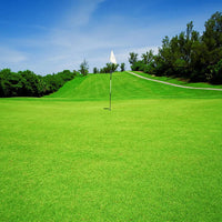 Evergreen Grass Seeds