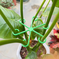 Climbing Houseplant Stem Supports