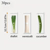 Premium Transparent Storage Bag