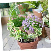 Butterfly Metal Ring Plant Holder