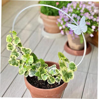 Butterfly Metal Ring Plant Holder
