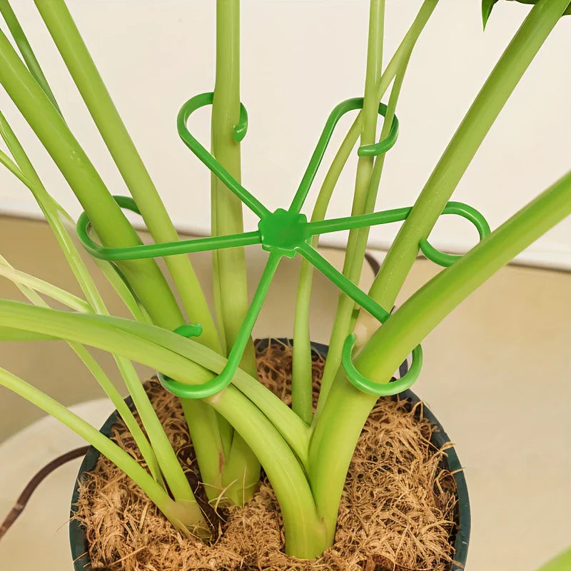 Climbing Houseplant Stem Supports