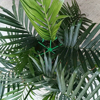 Climbing Houseplant Stem Supports