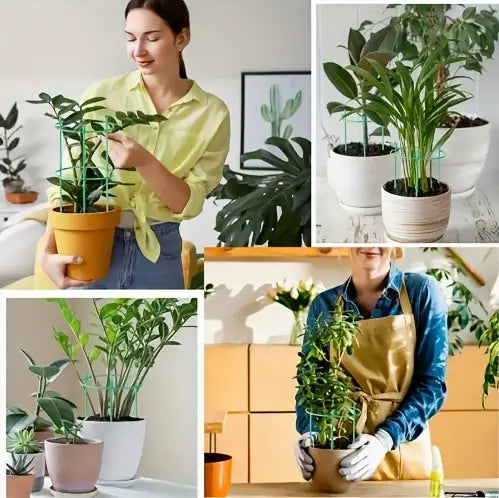 Garden Plant Support Poles