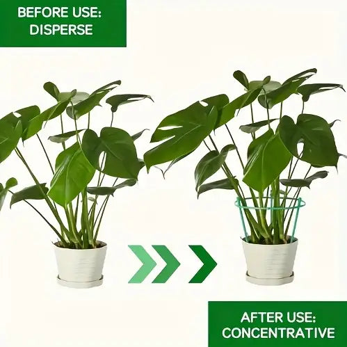 Garden Plant Support Poles