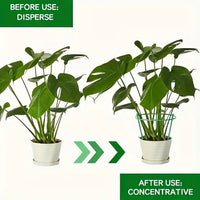 Garden Plant Support Poles