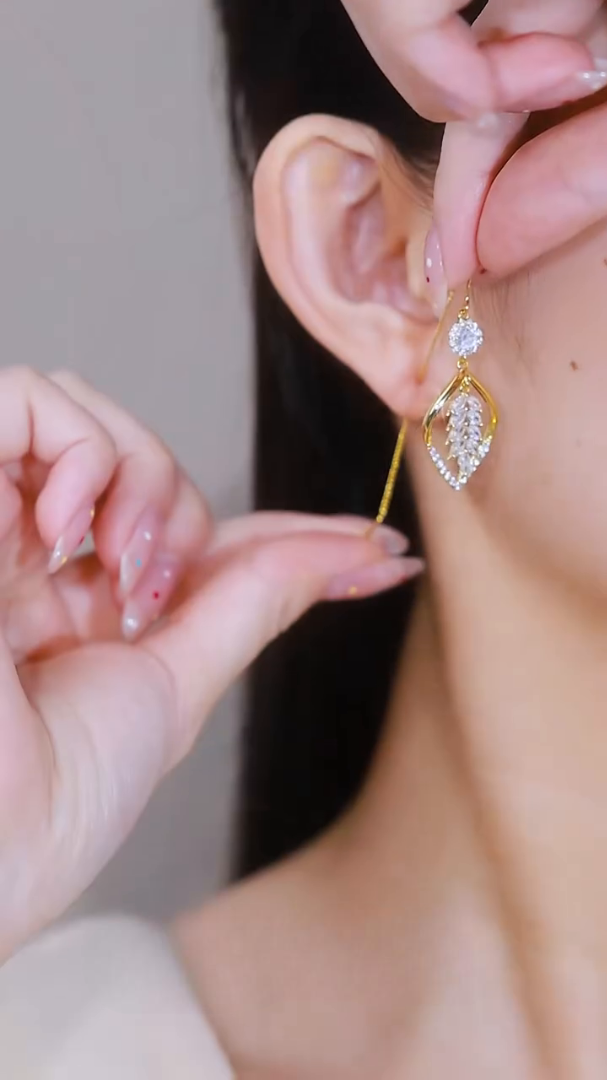 High Luxury Long Earrings