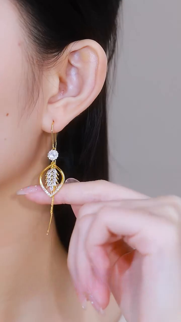 High Luxury Long Earrings